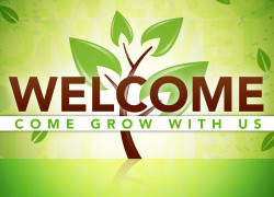 Successful Steps to Grow Your Sunday School Class or Department 5.featuredimage