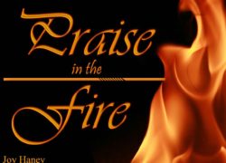 Praise in the Fire (Entire Article) 6-featuredpic
