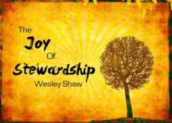 The Joy of Stewardship 3.featuredpic
