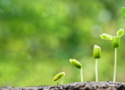 6 Essential Steps to Start Someone on the Road Toward Christian Maturity (Newsletter 3-1) 4.featuredimage