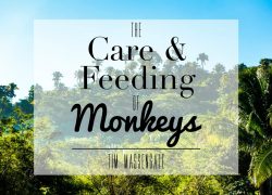 The Care and Feeding of Monkeys 2.featuredpic